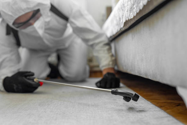 Professional Bed Bug Control technician working in Breaux Bridge, LA