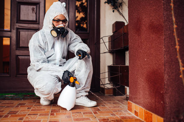 Reliable Bed Bug Control contractor in Breaux Bridge, LA by Nex Pest Control