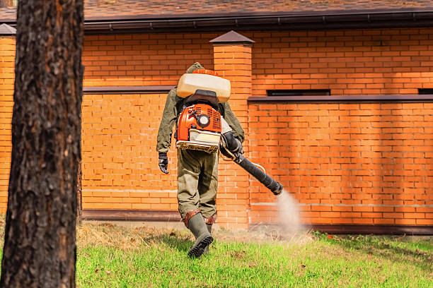 Trusted Bed Bug Control service in Breaux Bridge, LA - Nex Pest Control